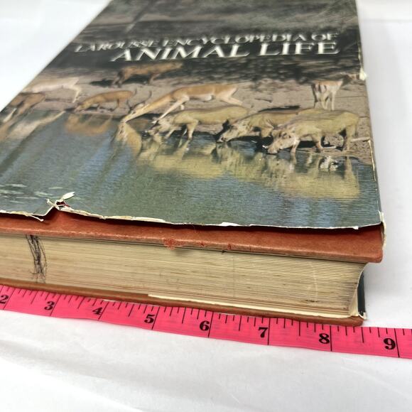 Larousse Encyclopedia of Animal Life - 1967 Paul Hamlyn Limited hard Cover VTG - Picture 4 of 13